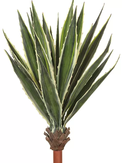 Clearance Agave Plant Variegated 38 In. Artificial Succulents