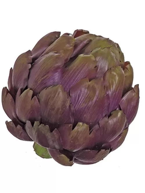 Best Artichoke 5.5 In. Eggplant Fruit And Vegetables