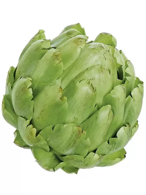 Discount Artichoke 5.5 In. Green Fruit And Vegetables