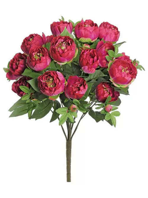 Best Backyard Peony 23 In. Fuchsia Flowering Bushes