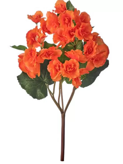 Online Begonia 17 In. Orange Flowering Bushes