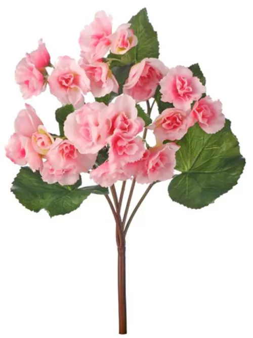 Clearance Begonia 17 In. Pink Flowering Bushes