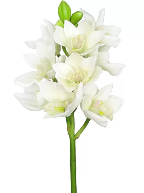 Store Cymbidium Orchid 19 In. White Silk Orchids