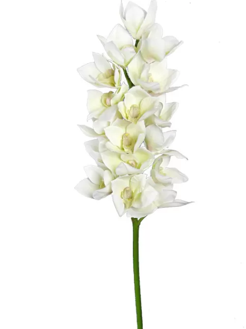 Clearance Cymbidium Orchid 41 In. White Silk Orchids