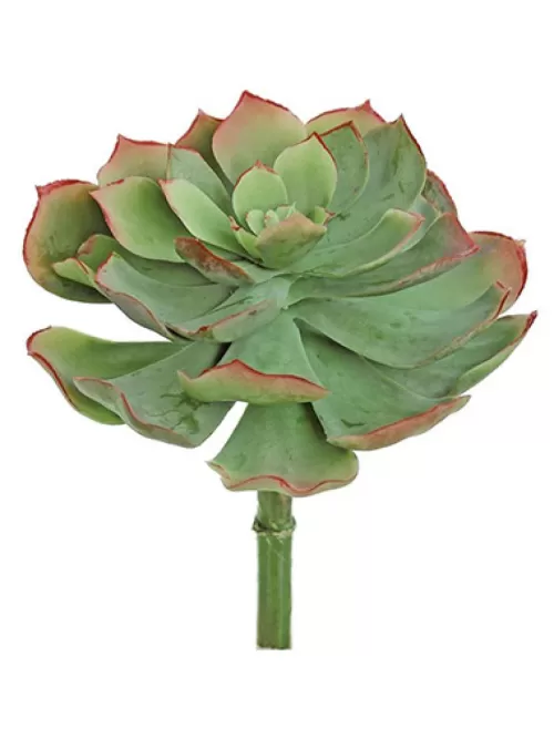 Best Sale Echeveria 8 In. Sage Red Artificial Succulents