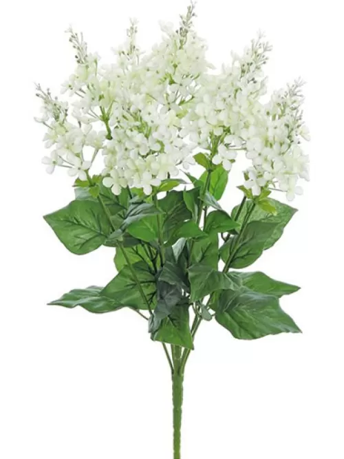 Best Sale Garden Lilac Bush 21 In. Cream / White Flowering Bushes