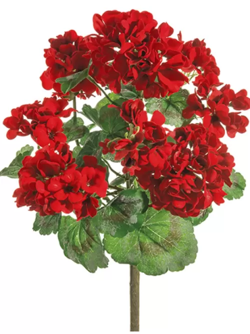 Discount Geranium Bush 24 In. Red Flowering Bushes