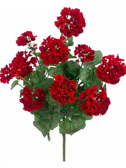 Cheap Geranium Bush 24 In. Red Flowering Bushes