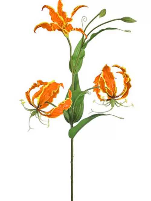 Fashion Gloriosa Lily W/ Buds 30 In. Orange Silk Lilies