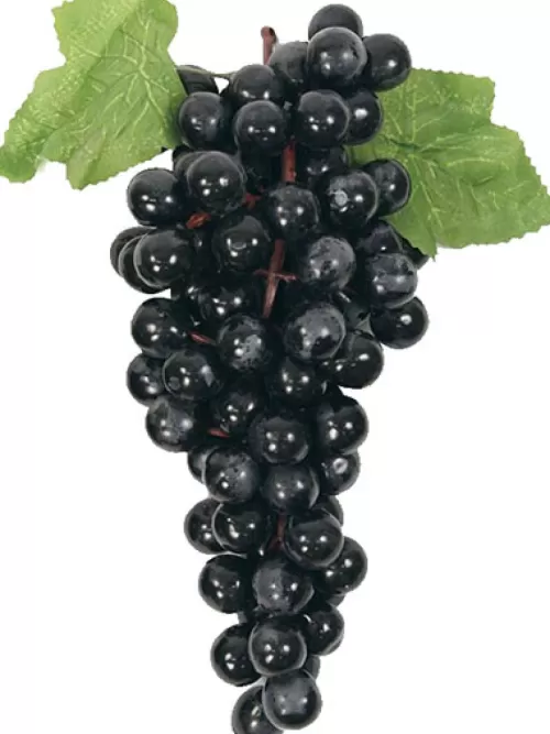 New Grape Cluster 11 In. Black Fruit And Vegetables