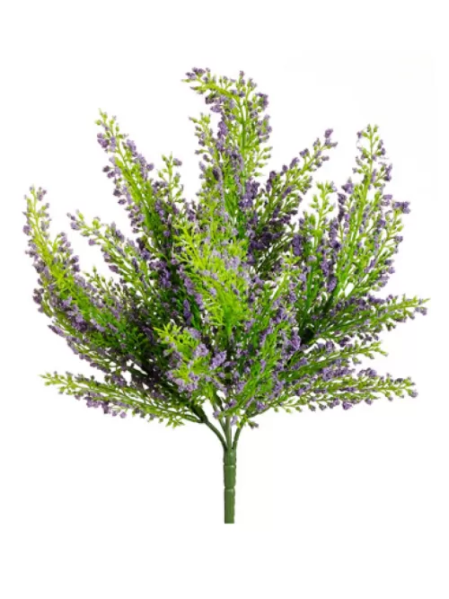 Discount Heather Bush Mini 11 In. Lavender Flowering Bushes