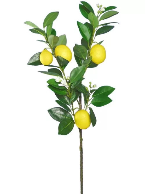 Online Lemon Branch 32 In. Fruit And Vegetables