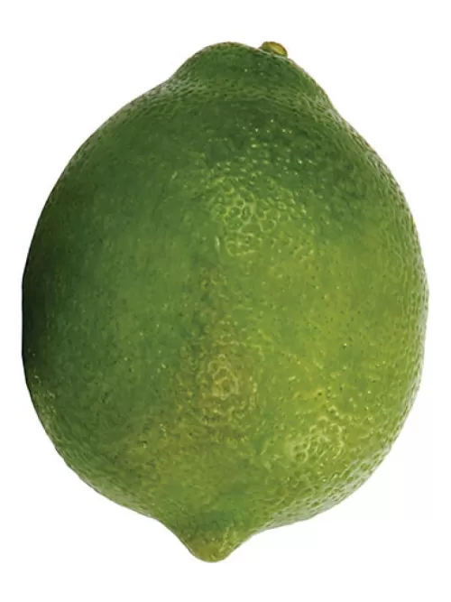 Store Lime 3.1 In. Fruit And Vegetables