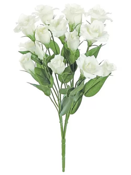 Clearance Lisianthus Bush 20.5 In. Cream Flowering Bushes