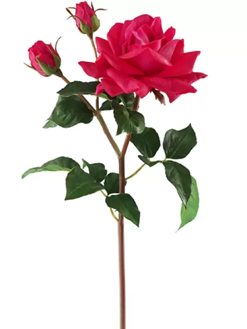 Cheap Natural Touch Garden Rose 22 In. Fuchsia Silk Roses