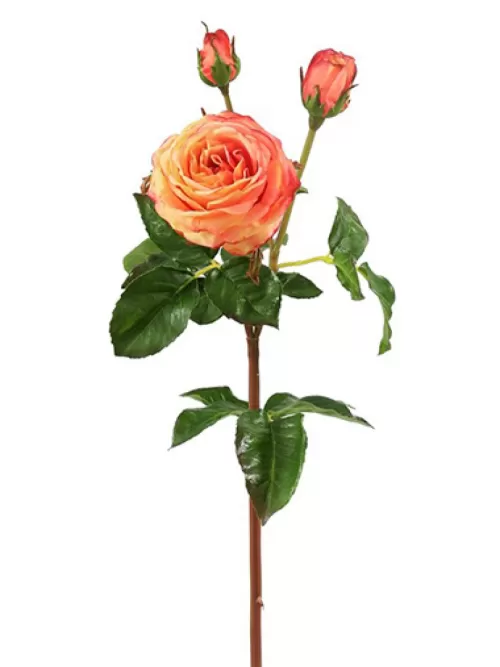 Outlet Natural Touch Rose 21.5 In. Yellow / Peach Silk Roses