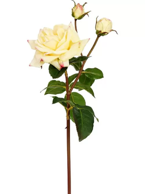 Fashion Natural Touch Rose Sweet Juliet 22 In. Yellow Silk Roses