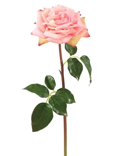 Flash Sale Natural Touch Rose Westminster 20.5 In. Pink Silk Roses