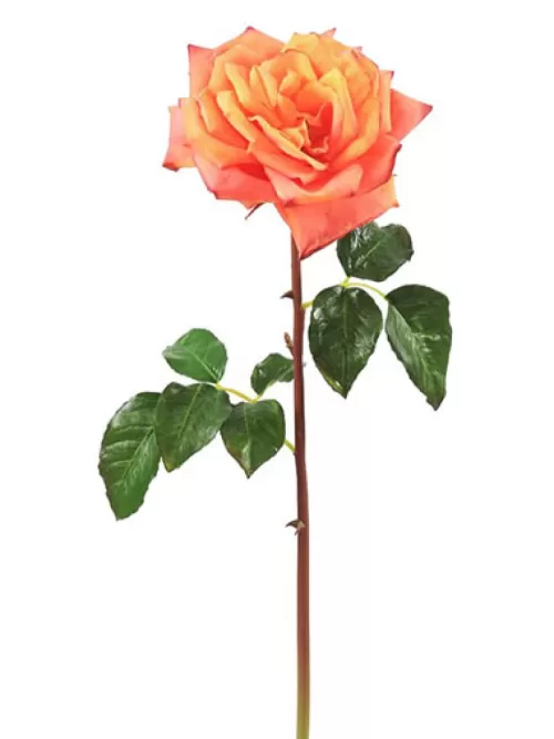 Hot Natural Touch Rose Westminster 20.5 In. Yellow / Peach Silk Roses