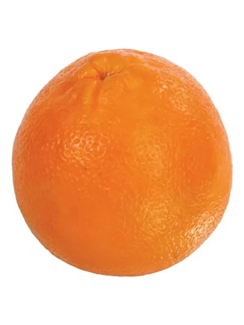 Online Orange 3.5 In. Fruit And Vegetables