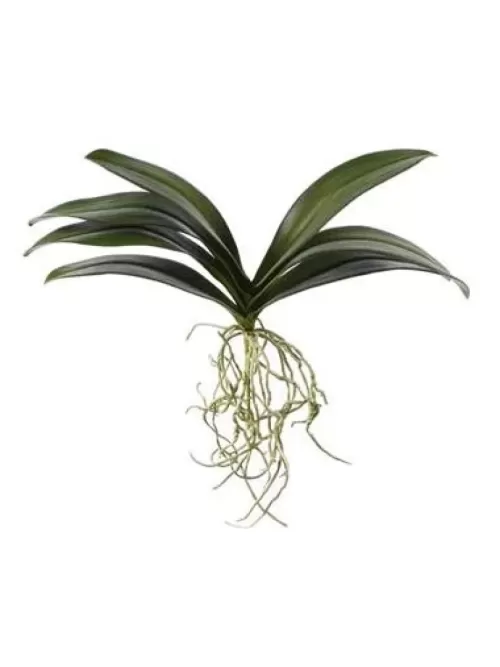 Discount Orchid Leaf W/ Roots 21 In. Silk Orchids