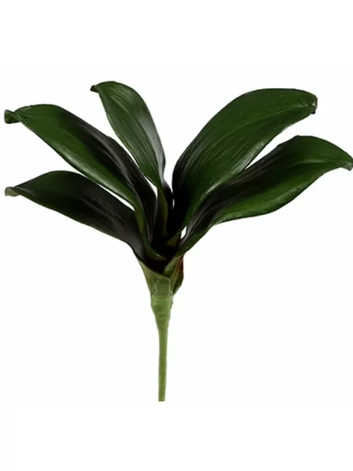 Shop Phalaenopsis Foliage Small 9 In. Silk Orchids