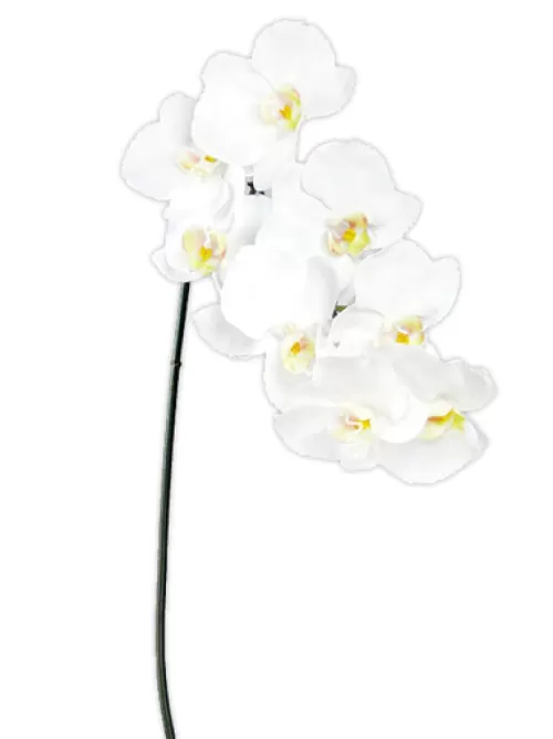 Best Sale Phalaenopsis Spray 37.5 In. White Silk Orchids