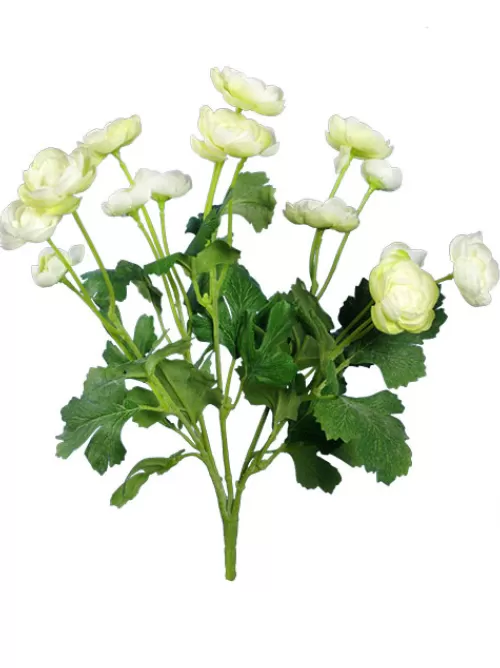 Clearance Ranunculus Bush 13 In. Cream Flowering Bushes