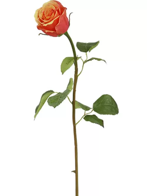 Store Rose Bud 19.5 In. Peach / Red Silk Roses