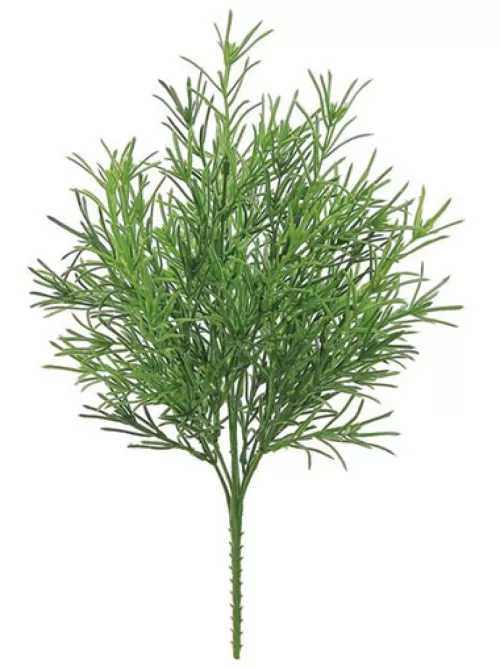 Outlet Rosemary Bush 18 In. Green Garden Herbs & Spices