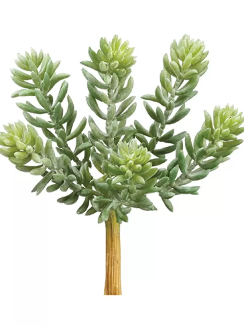 Best Sedum Pick 7 In. Green / Grey Artificial Succulents