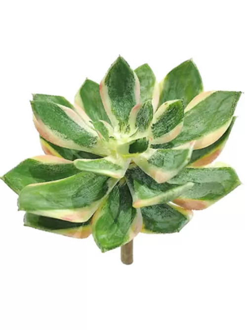 Cheap Spoon Succulent Pick 6.5 In. Artificial Succulents