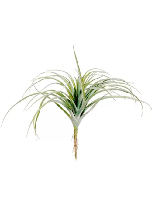 Best Tillandsia 11 In. Green / Grey Artificial Succulents