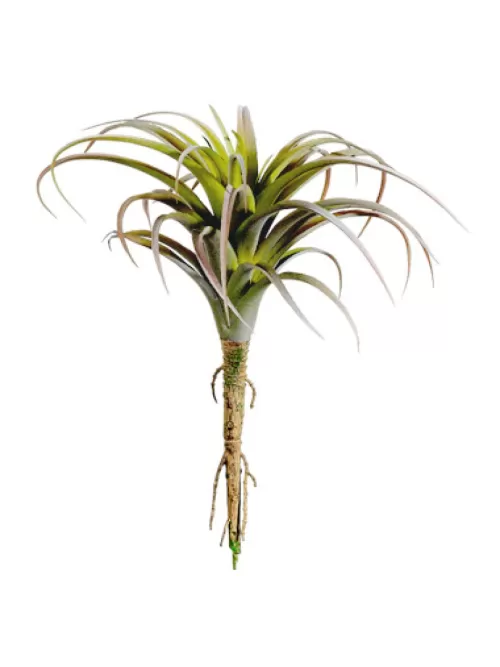 Cheap Tillandsia 8.5 In. Green / Burgundy Artificial Succulents