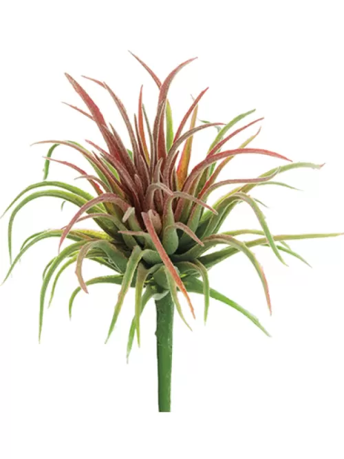 Best Tillandsia Pick 6 In. Artificial Succulents