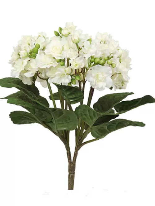 Discount Violet Bush 12 In. White Flowering Bushes