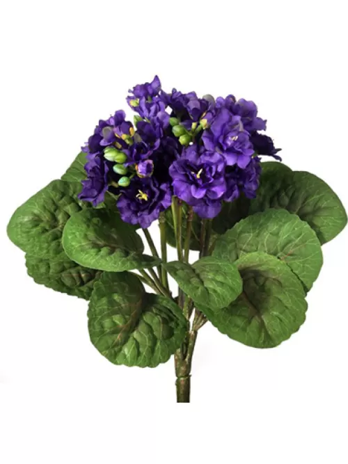 Store Violet Plant 12 In. Violet Flowering Bushes