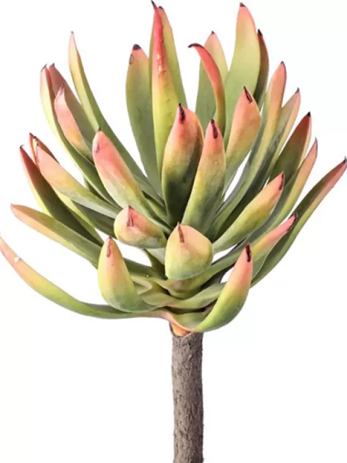 Best Yucca Succulent Mature 10.5 In. Artificial Succulents